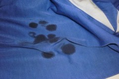 Note to housewives: how to remove a greasy stain from a T-shirt at home
