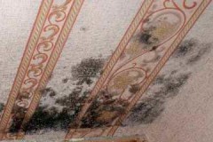 How to effectively and safely remove mold from wallpaper: methods of dealing