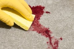 Petits trucs per rentar la sang del sofà a casa amb rapidesa i eficàcia