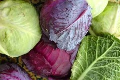 A few tips on how best to store cabbage in the refrigerator
