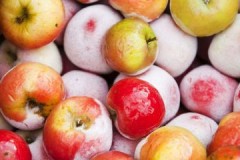 Pregunta de farciment: a quina temperatura s’han d’emmagatzemar les pomes?
