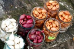 Proven methods for keeping onion sets until spring at home