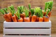 Step by step instructions and tips on how to store carrots at home