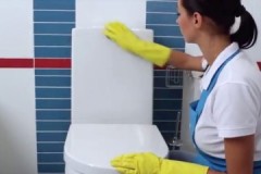 What do you need to know about the toilet cleaning schedule?