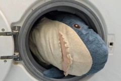 Simple recommendations on how to wash a shark from Ikea