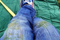Receptes provades i maneres d’eliminar l’herba dels texans a casa