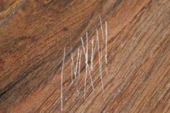 Professional advice on how to quickly and effectively remove scratches from furniture