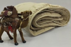 Important rules on how to machine and hand wash a camel wool blanket