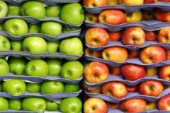 Čerstvá jablka po celý rok nebo jak skladovat ovoce ve sklepě na zimu