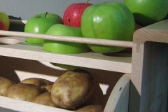 Scientific approach: is it possible to store apples in the cellar along with potatoes