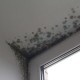 How to easily and effectively remove mold from plastic and wood windows?